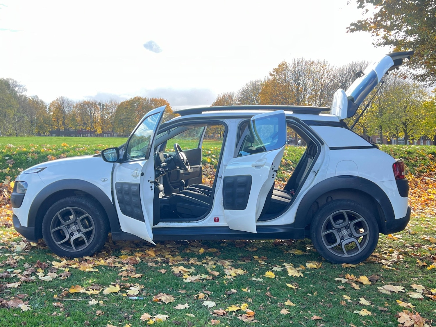 Used Citroen C4 Cactus 2015 for sale - 76389423: Photo 36