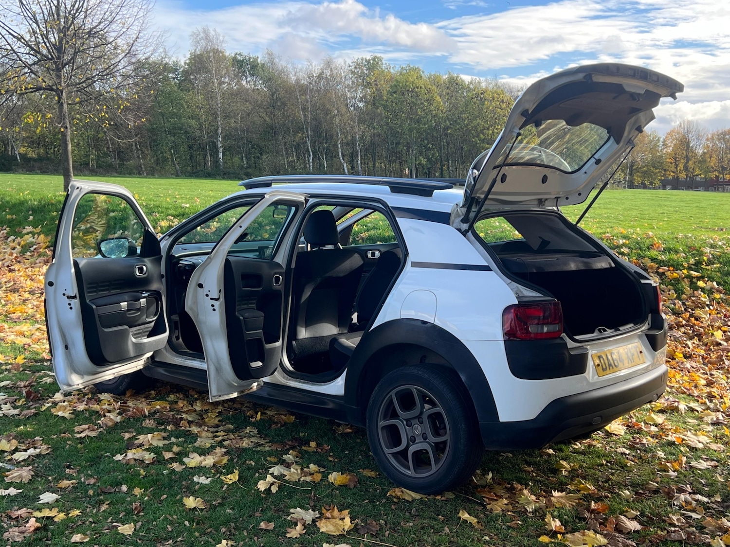 Used Citroen C4 Cactus 2015 for sale - 76389423: Photo 38