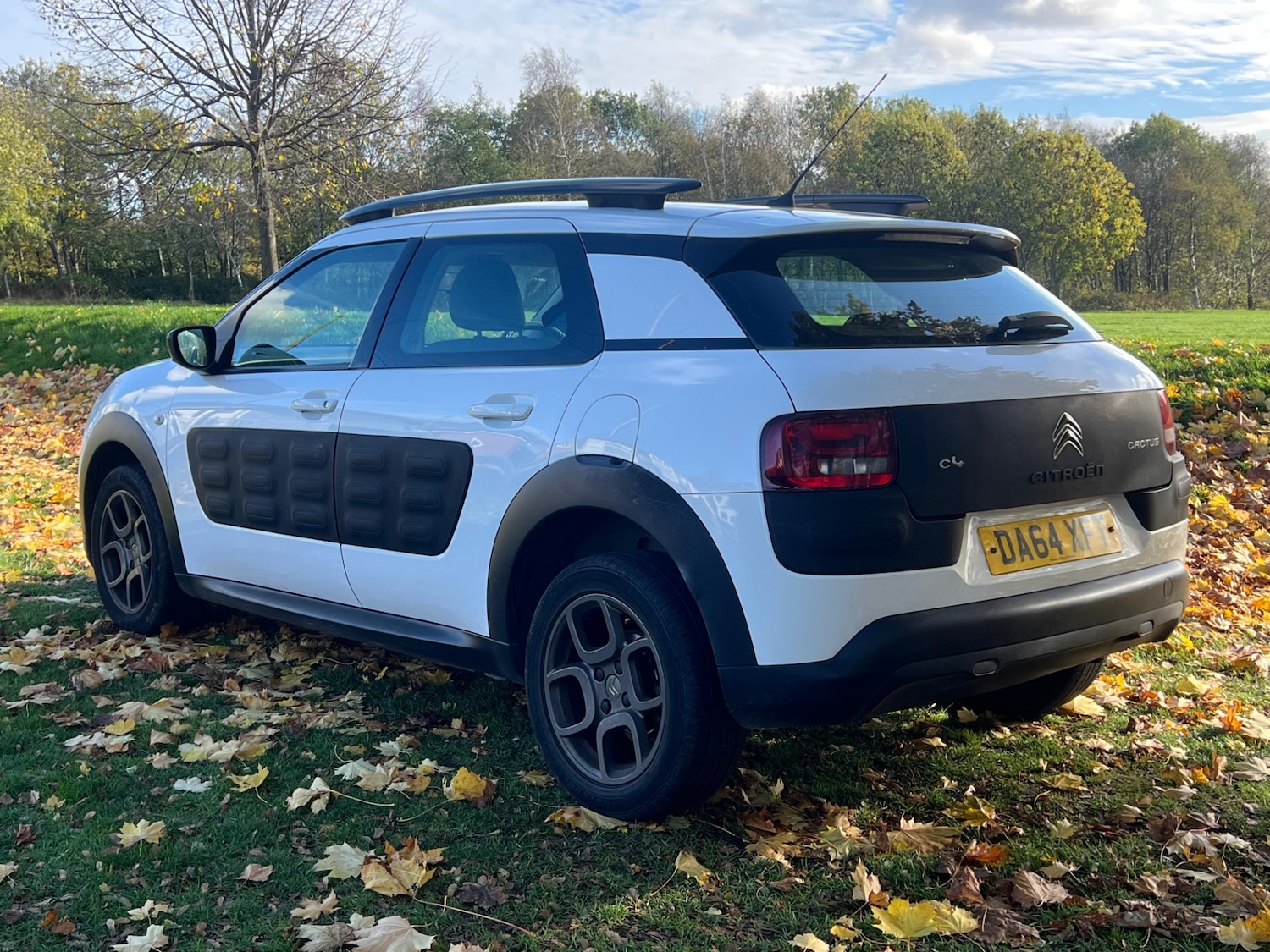 Used Citroen C4 Cactus 2015 for sale - 76389423: Photo 7