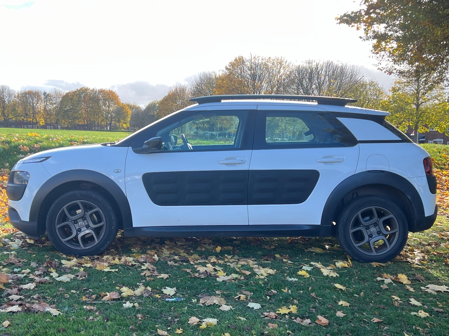 Used Citroen C4 Cactus 2015 for sale - 76389423: Photo 8