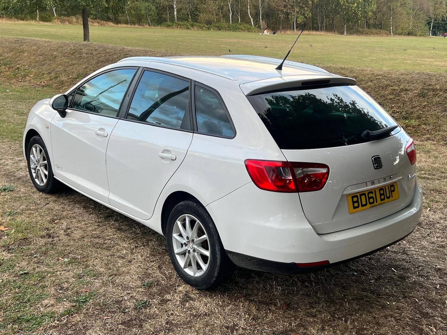 Used SEAT Ibiza 2011 for sale - 76176030: Photo 13