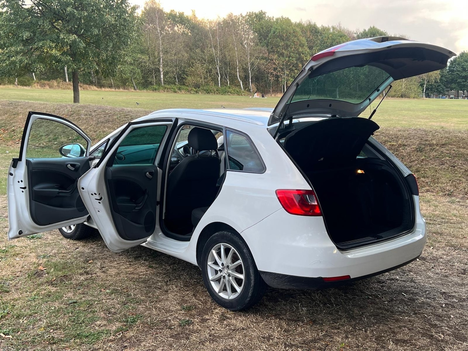 Used SEAT Ibiza 2011 for sale - 76176030: Photo 24