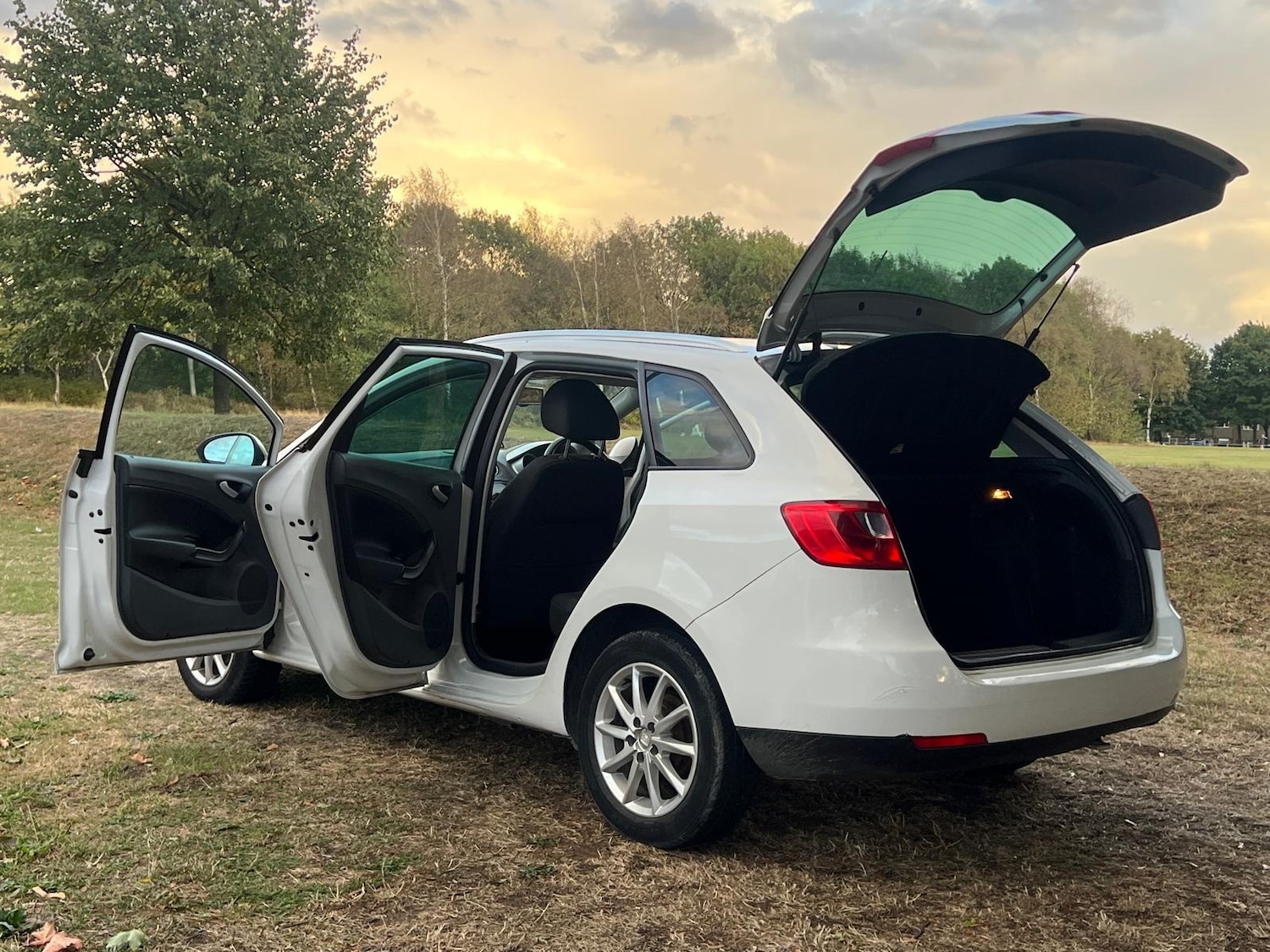 Used SEAT Ibiza 2011 for sale - 76176030: Photo 25