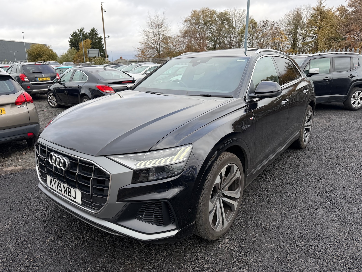 Used Audi Q8 2019 for sale - 76455666: Photo 7