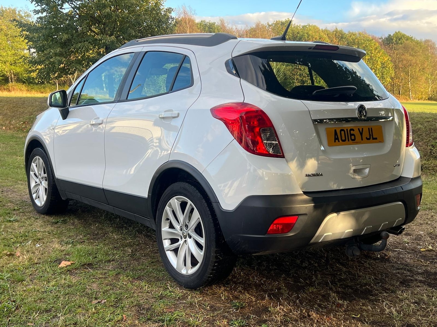 Used Vauxhall Mokka 2016 for sale - 76167577: Photo 10