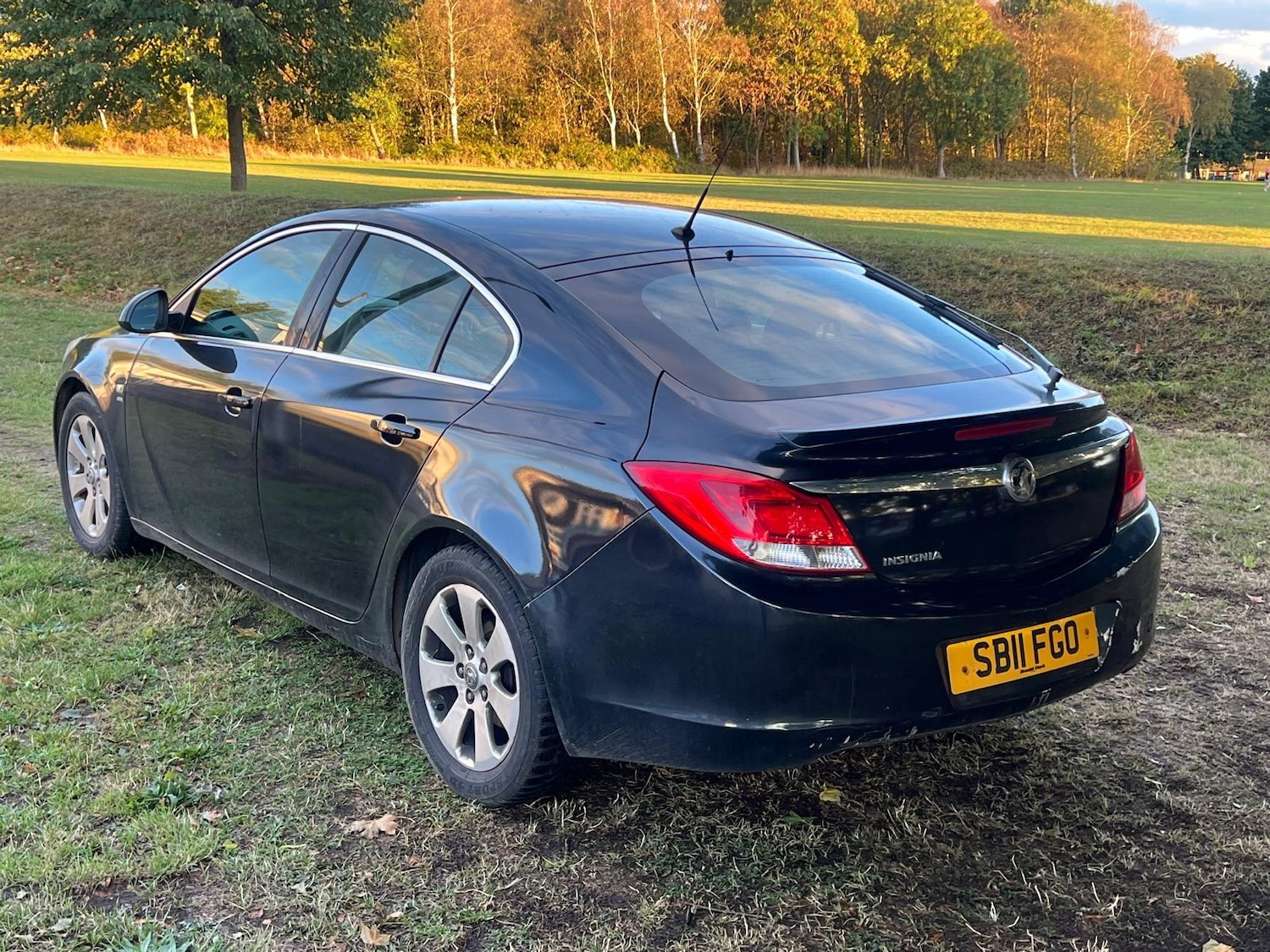 Used Vauxhall Insignia 2011 for sale - 77060560: Photo 9