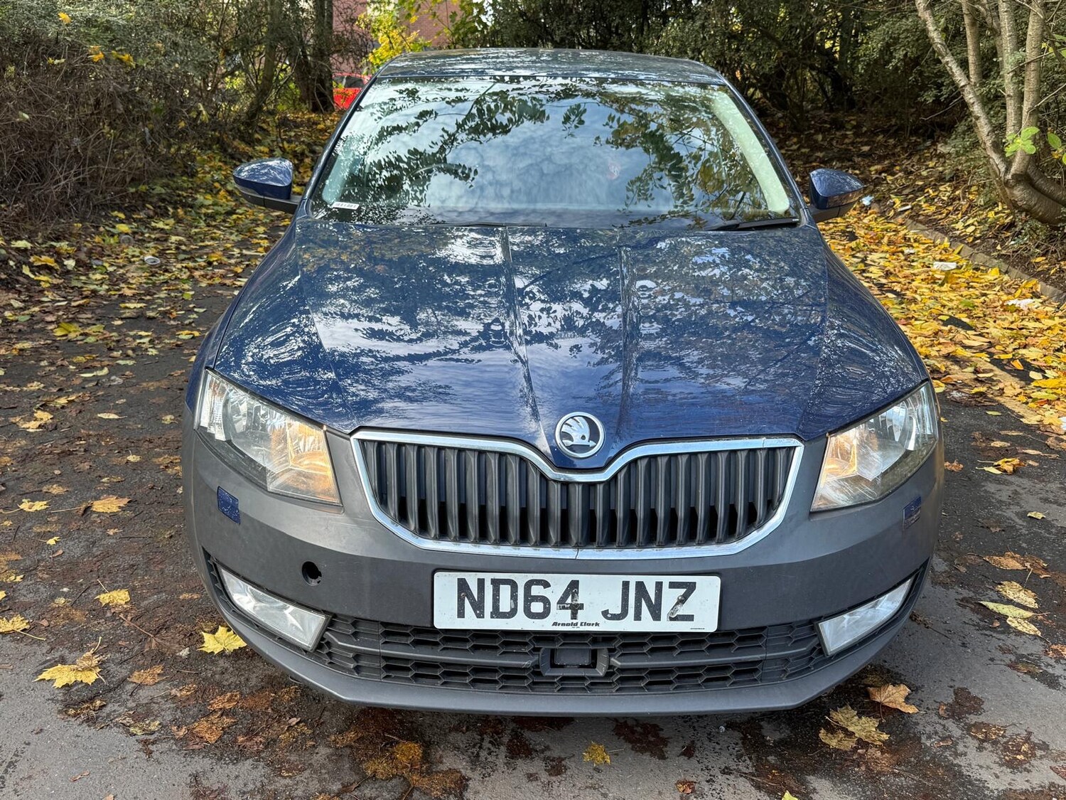 Used Skoda Octavia 2015 for sale - 76399385: Photo 29
