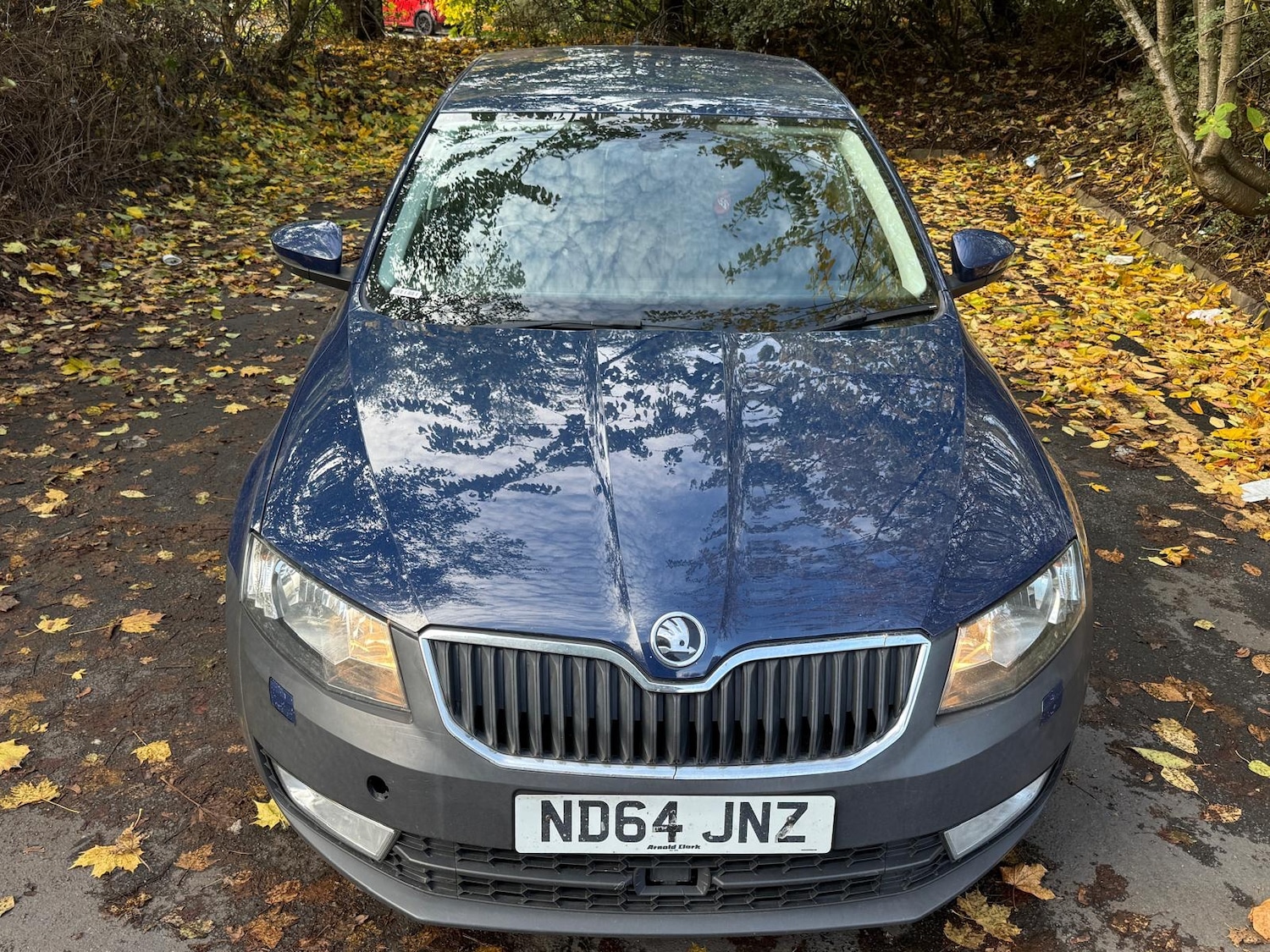 Used Skoda Octavia 2015 for sale - 76399385: Photo 30