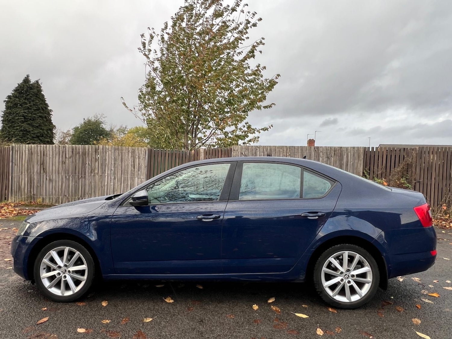 Used Skoda Octavia 2015 for sale - 76454804: Photo 12
