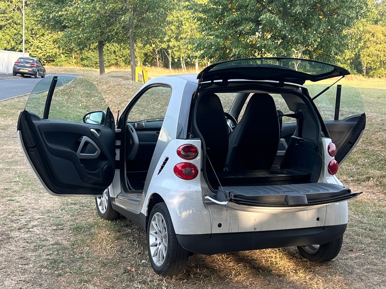 Used smart fortwo 2010 for sale - 76370050: Photo 23