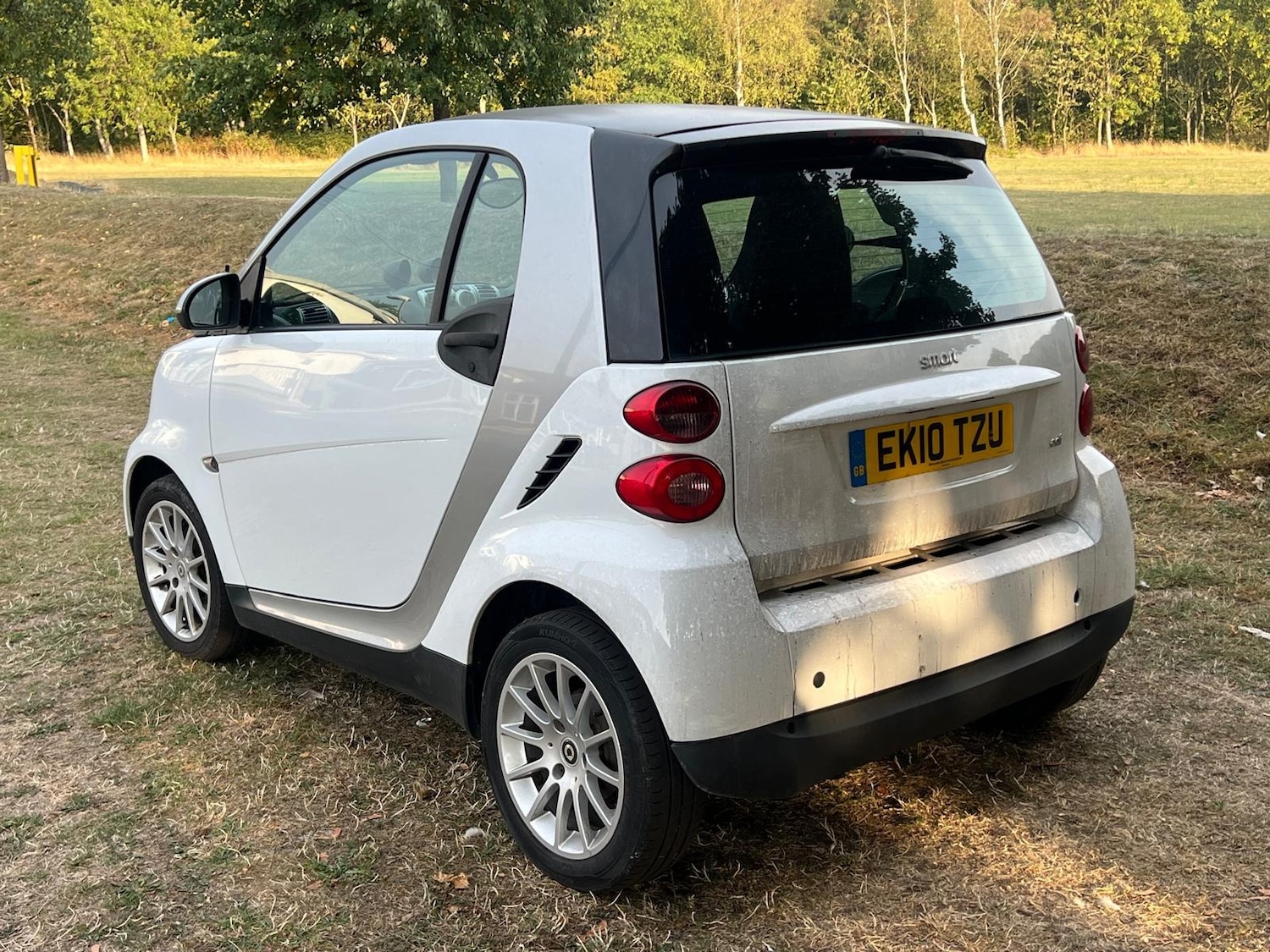 Used smart fortwo 2010 for sale - 76370050: Photo 9