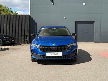 Used Skoda Octavia undefined for sale - 78206181: Photo