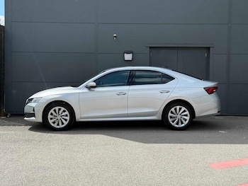 Used Skoda Octavia 2024 for sale - 79312308: Photo