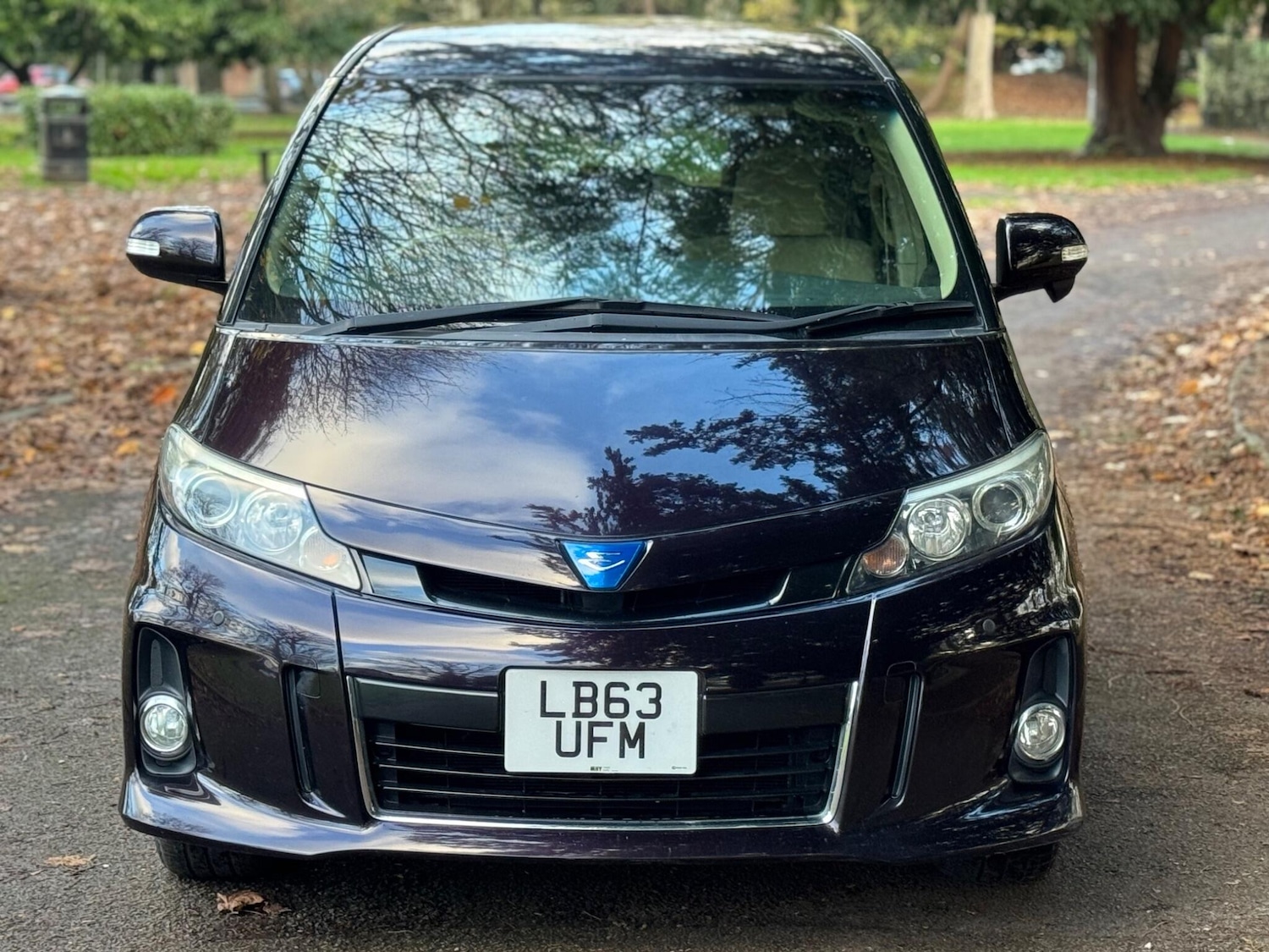 Used Toyota Estima for sale - 76994374: Photo 5