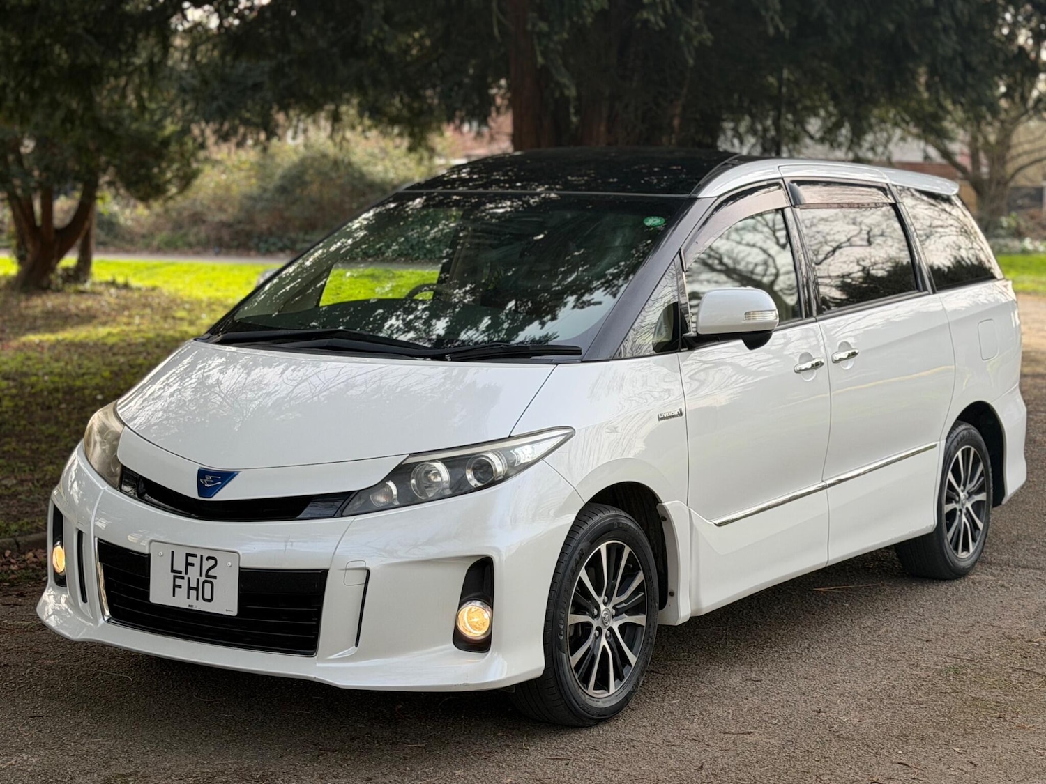 Used Toyota Estima for sale - 77784135: Photo 6