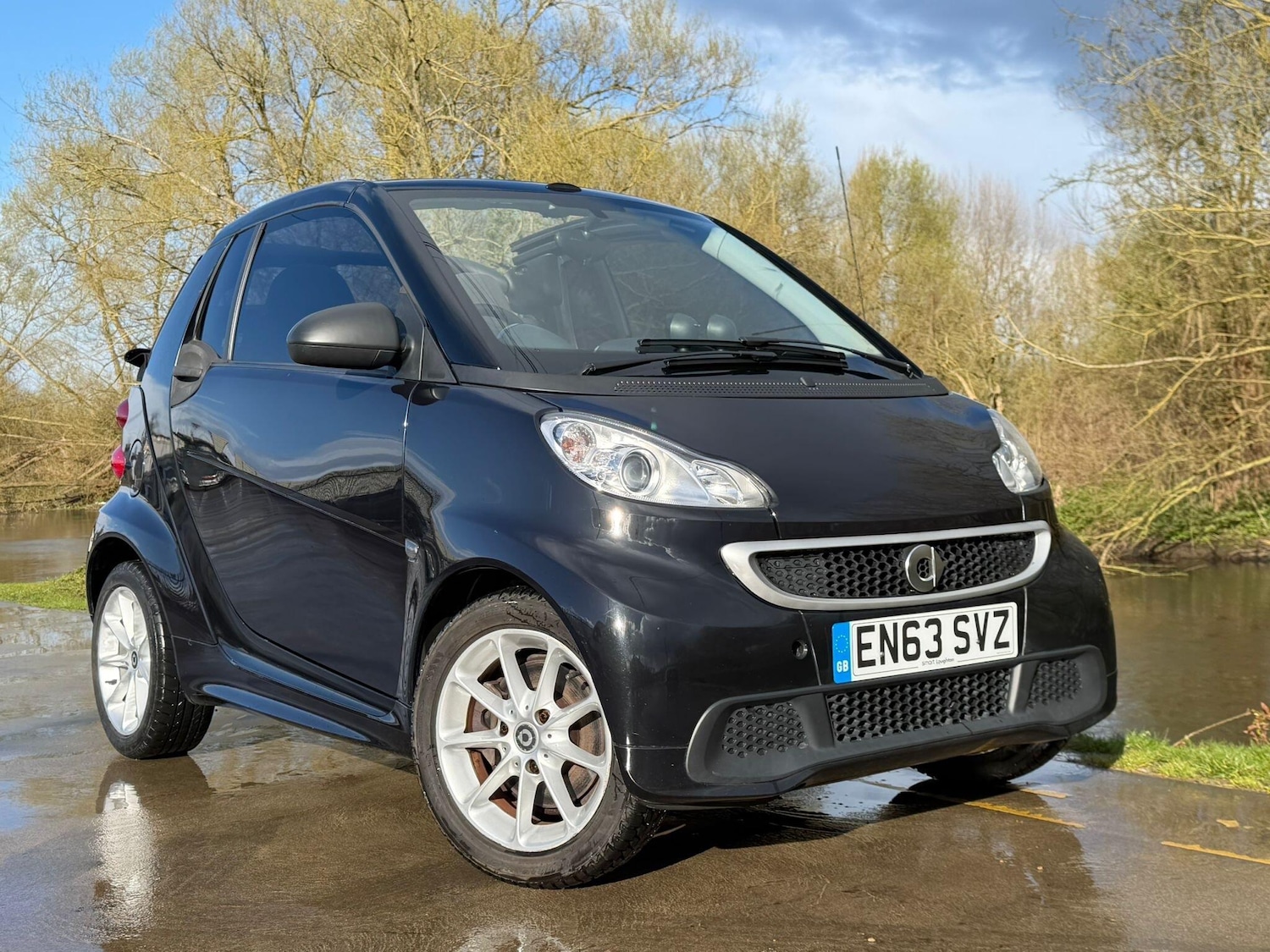Used smart fortwo 2014 for sale - 78058686: Photo 1
