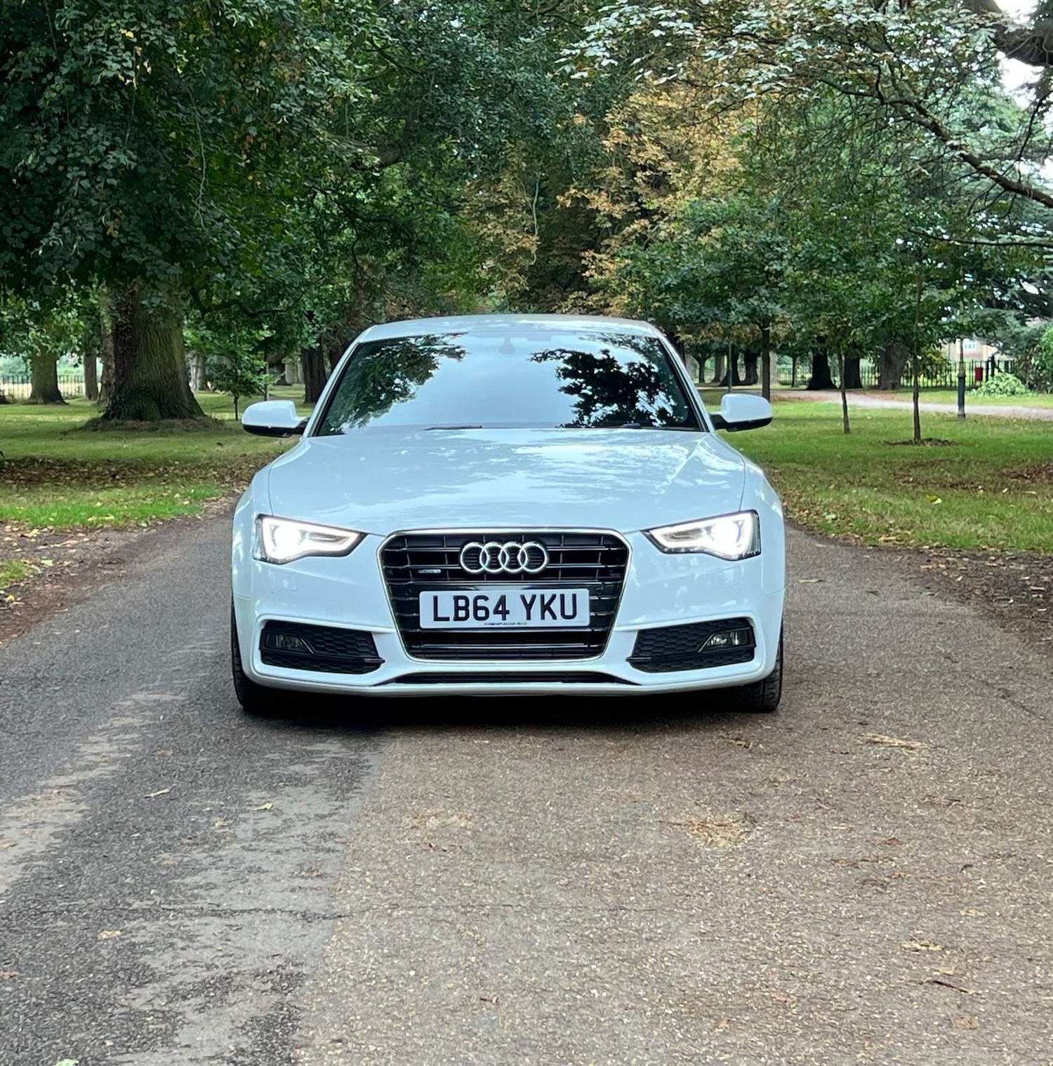 Used Audi A5 for sale - 76671615: Photo 2