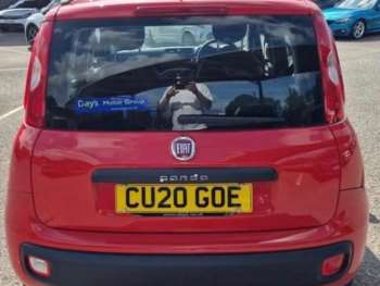 Used Fiat Panda 2020 for sale - 74861377: Photo