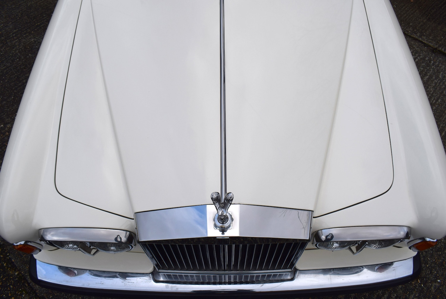 Used Rolls-Royce Silver Shadow 1979 for sale - 77382094: Photo 93