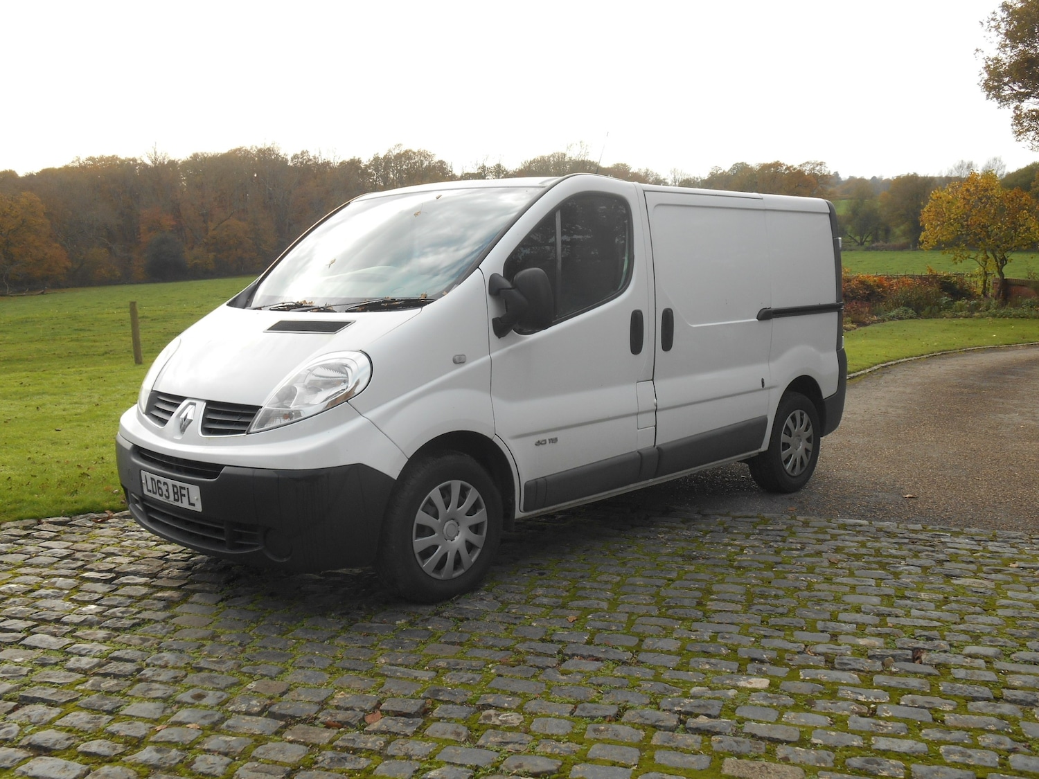 Used Renault Trafic 2013 for sale - 76273715: Photo 1