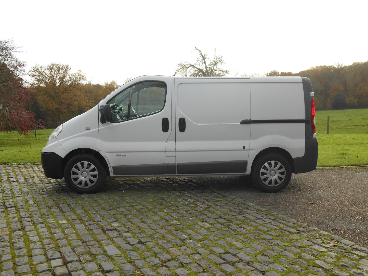 Used Renault Trafic 2013 for sale - 76273715: Photo 2