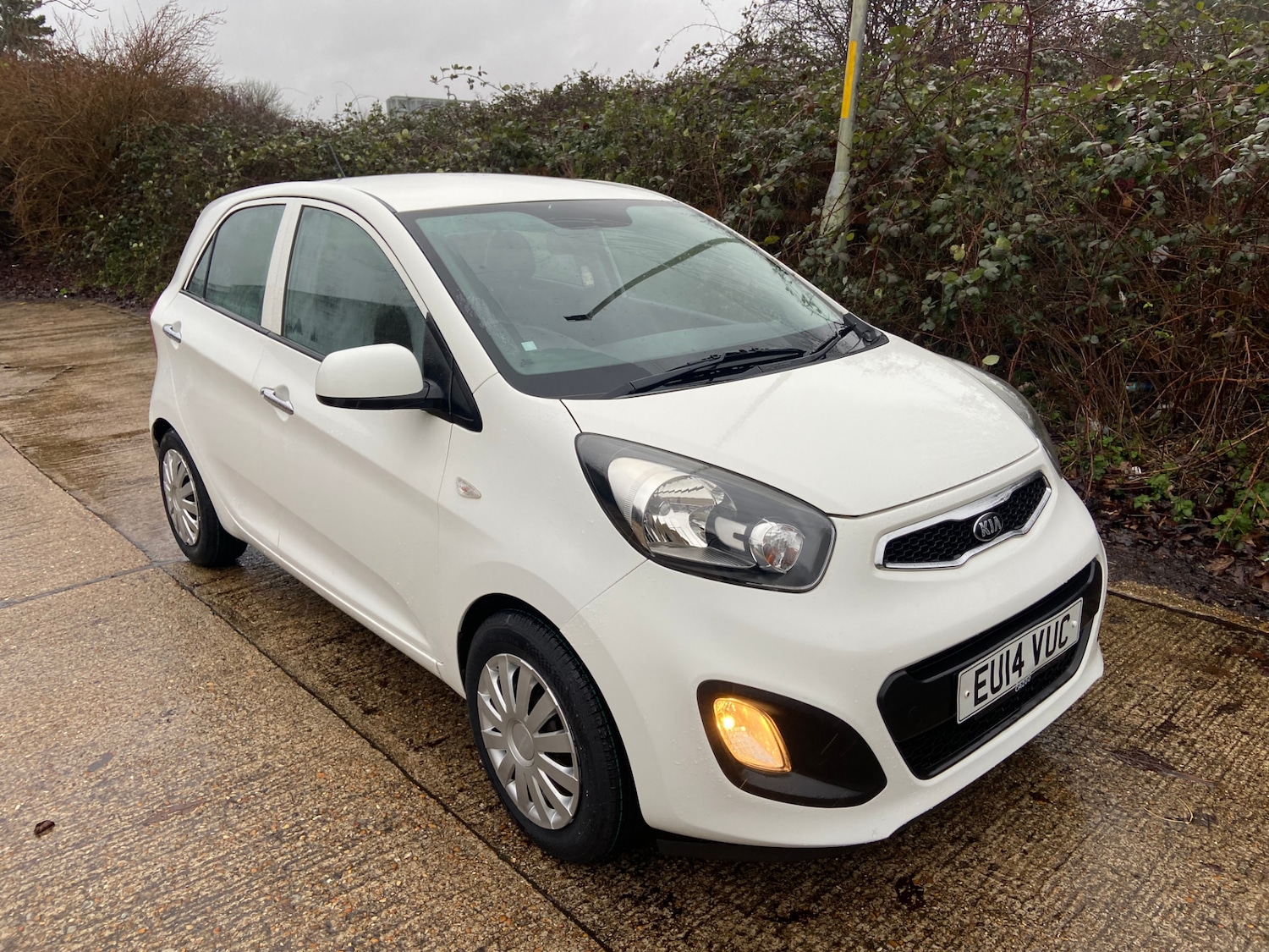 Used Kia Picanto 2014 for sale - 77210969: Photo 2