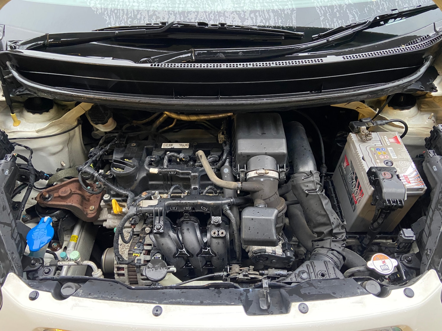 Used Kia Picanto 2014 for sale - 77210969: Photo 4