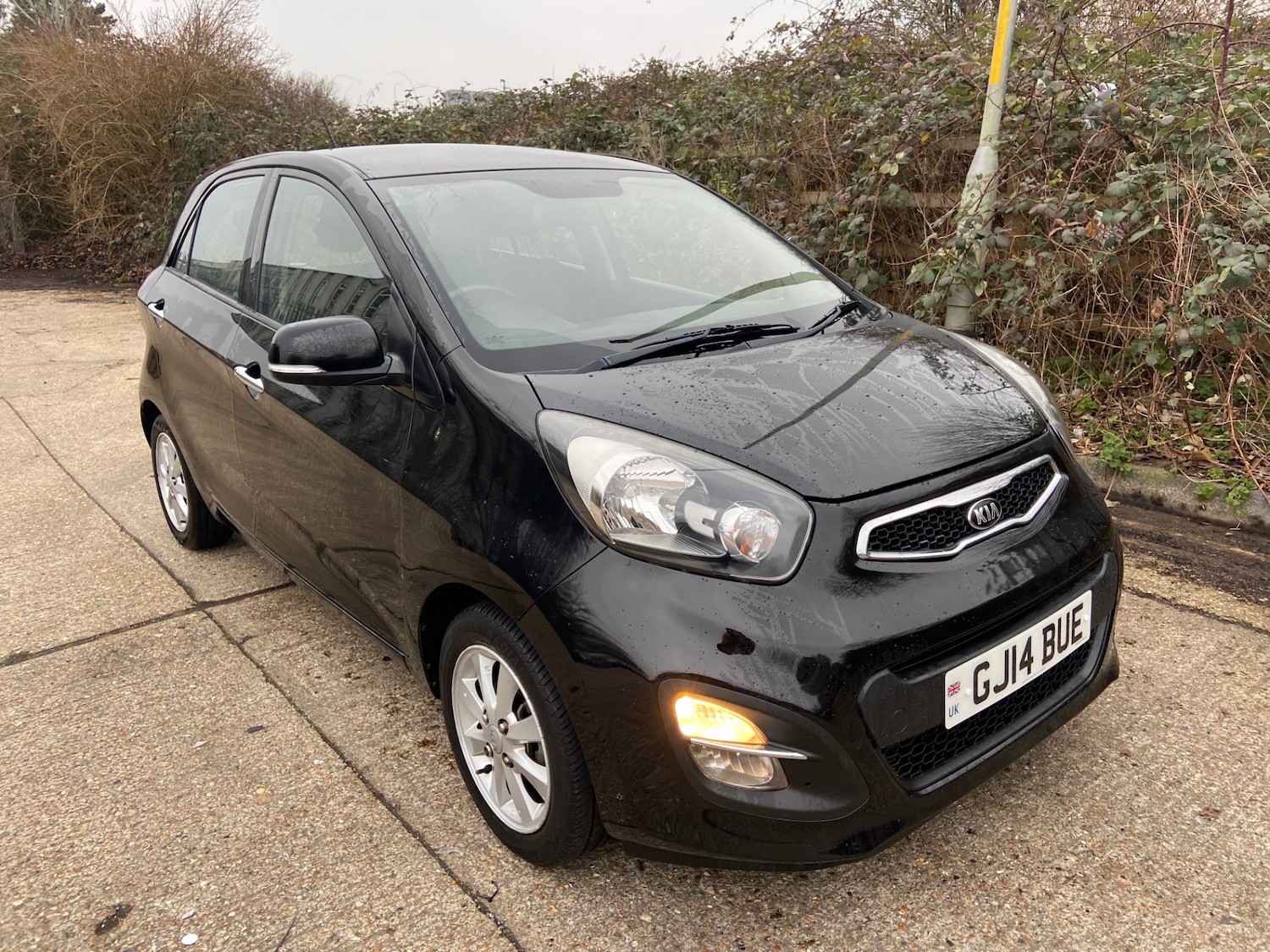 Used Kia Picanto 2014 for sale - 77328670: Photo 2