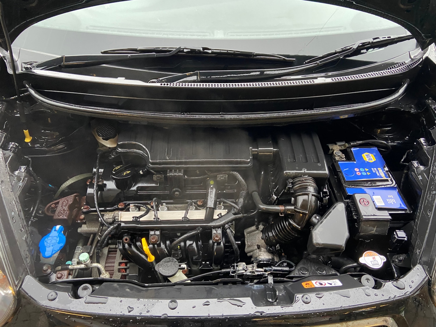 Used Kia Picanto 2014 for sale - 77328670: Photo 5