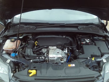 Used Ford Focus 2014 for sale - 75518082: Photo