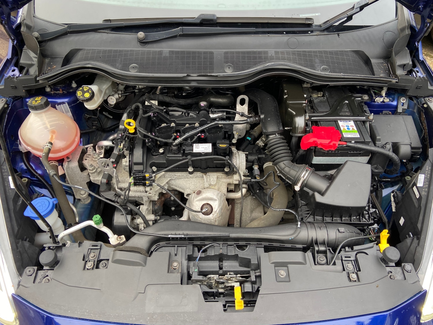 Used Ford Fiesta 2017 for sale - 77877974: Photo 4