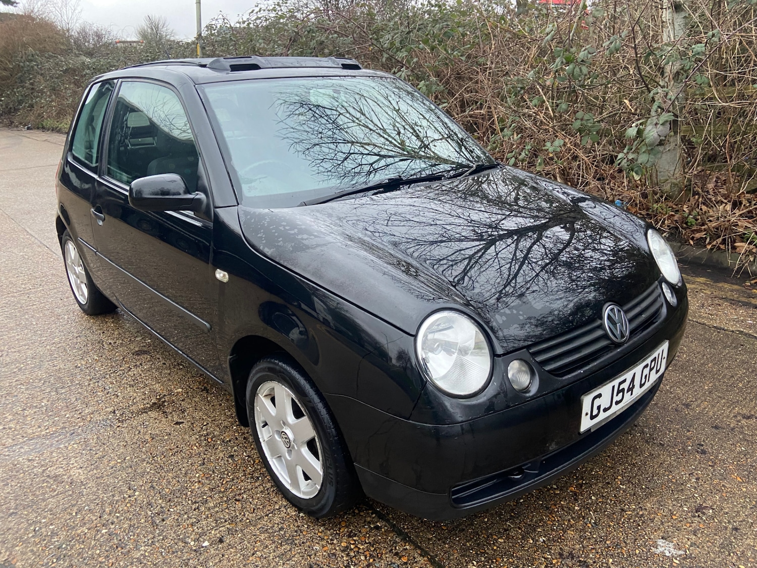 Used Volkswagen Lupo 2005 for sale - 77548028: Photo 2