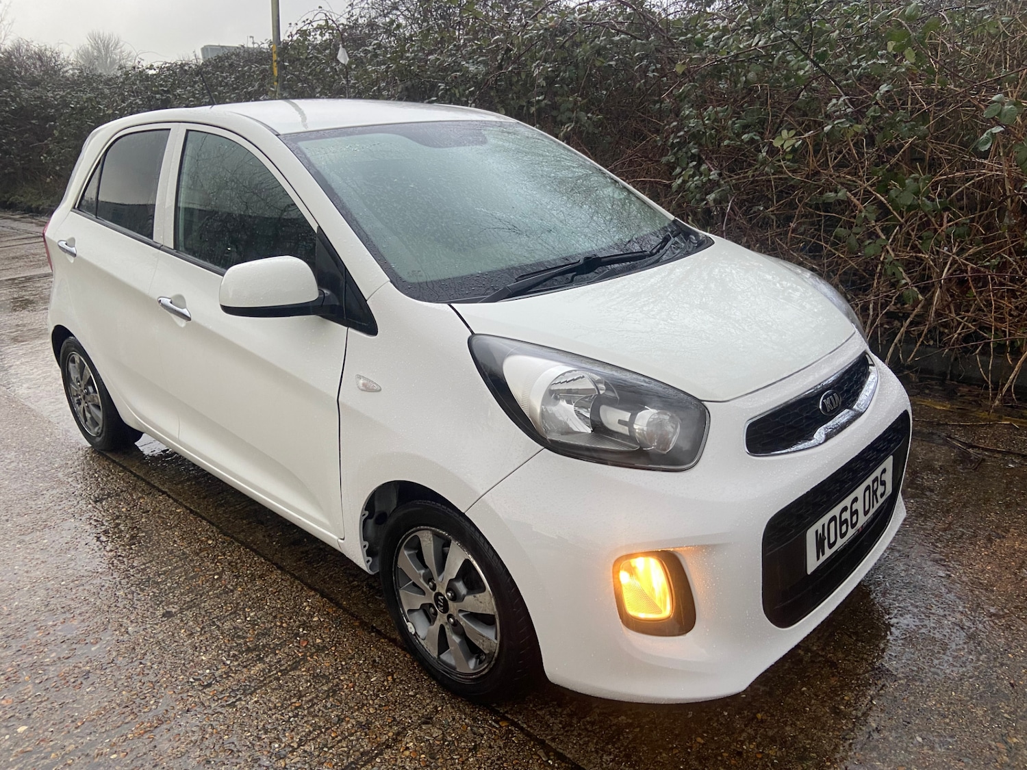 Used Kia Picanto 2017 for sale - 77532447: Photo 2