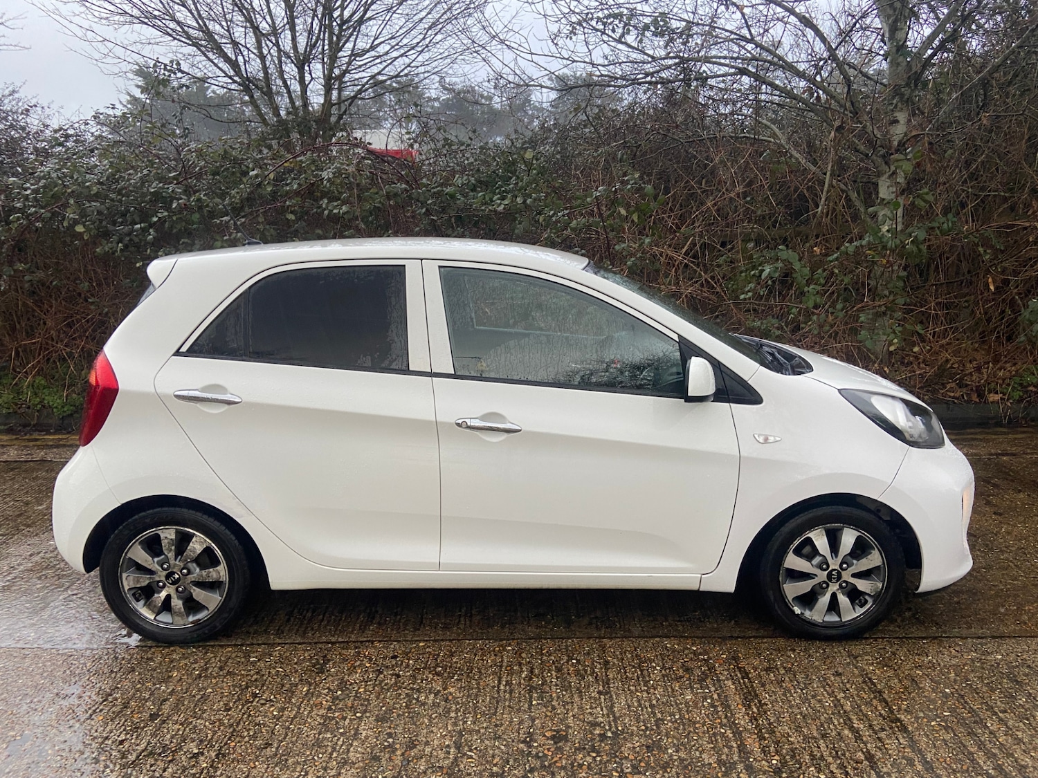 Used Kia Picanto 2017 for sale - 77532447: Photo 8