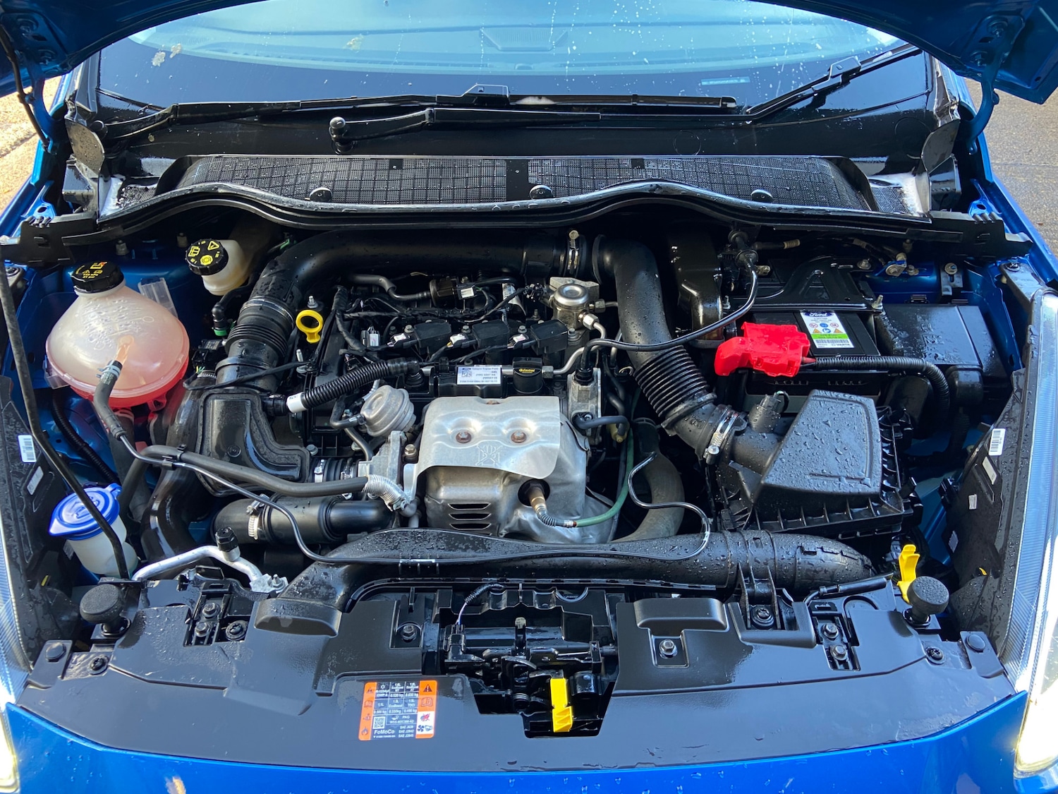 Used Ford Fiesta 2019 for sale - 77834272: Photo 5