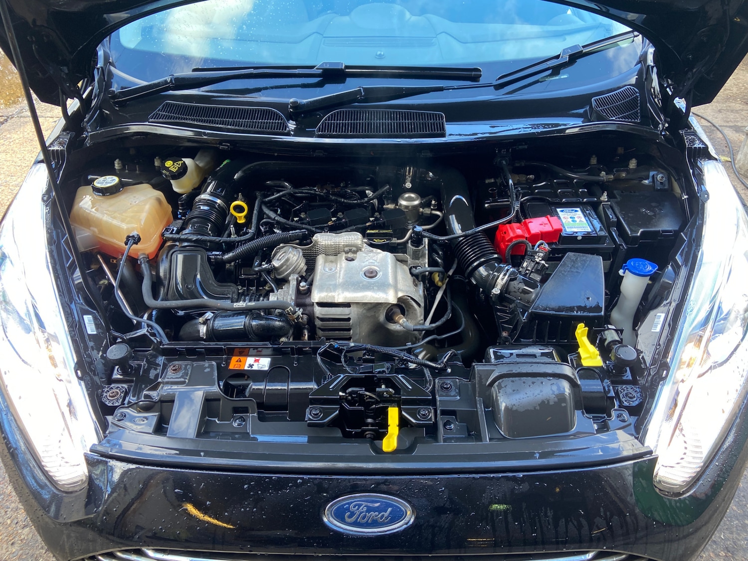 Used Ford Fiesta 2015 for sale - 77558694: Photo 10