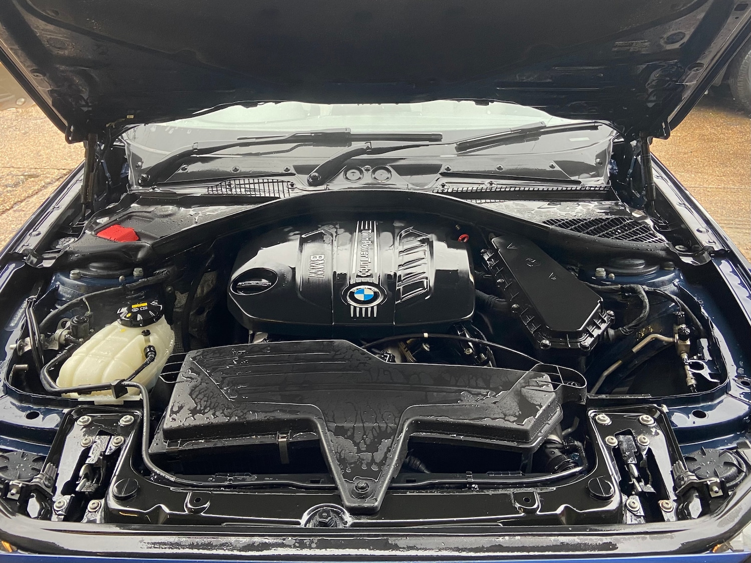 Used BMW 1 Series 2015 for sale - 77342799: Photo 10