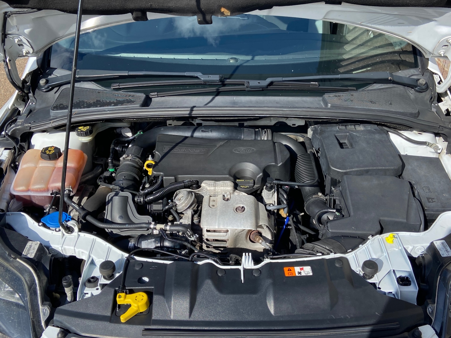 Used Ford Focus 2014 for sale - 77890378: Photo 5