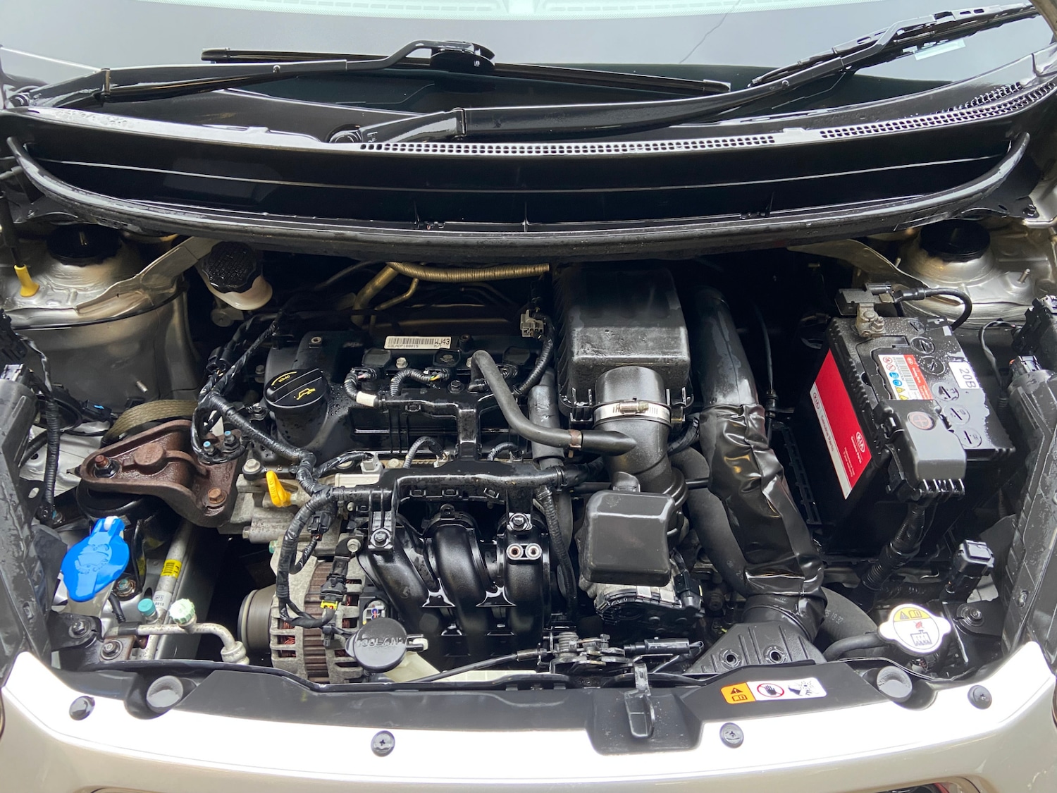 Used Kia Picanto 2014 for sale - 77485515: Photo 10