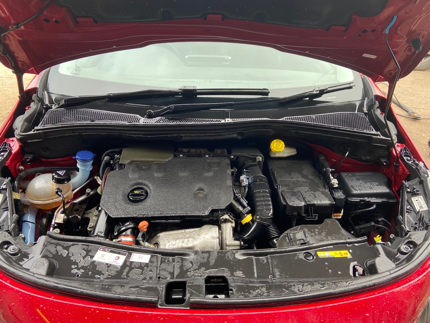 Used Peugeot 2008 2018 for sale - 78217971: Photo 12