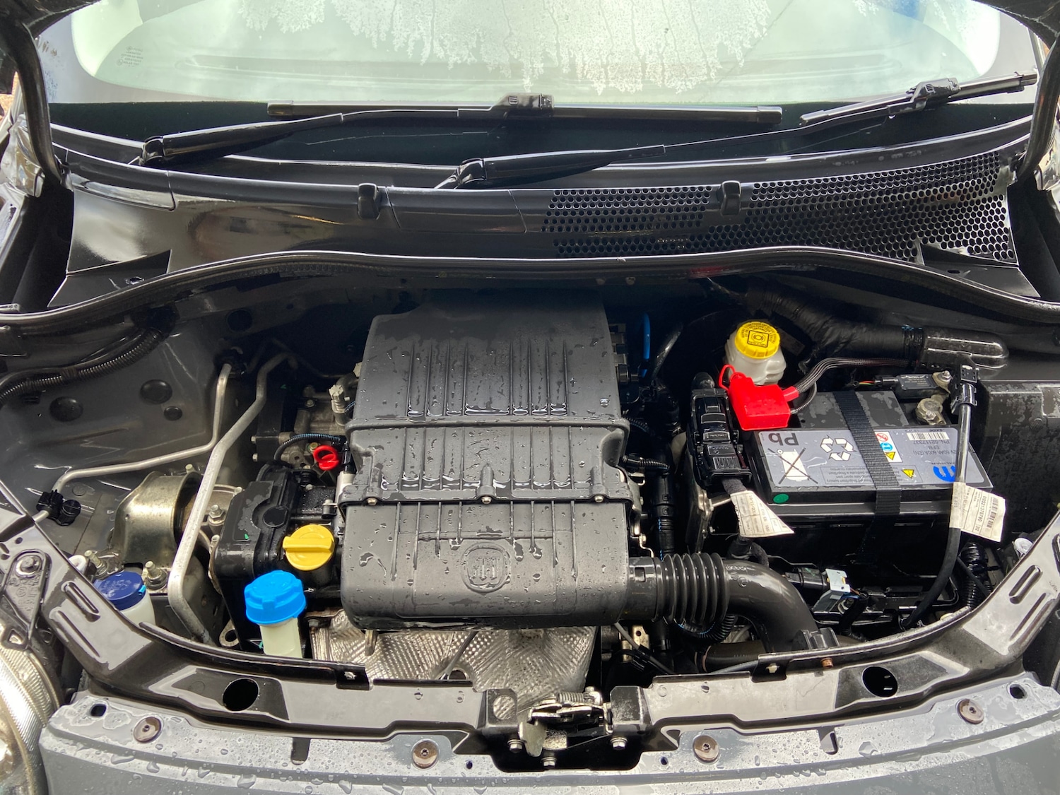 Used Fiat 500 2019 for sale - 77656536: Photo 5