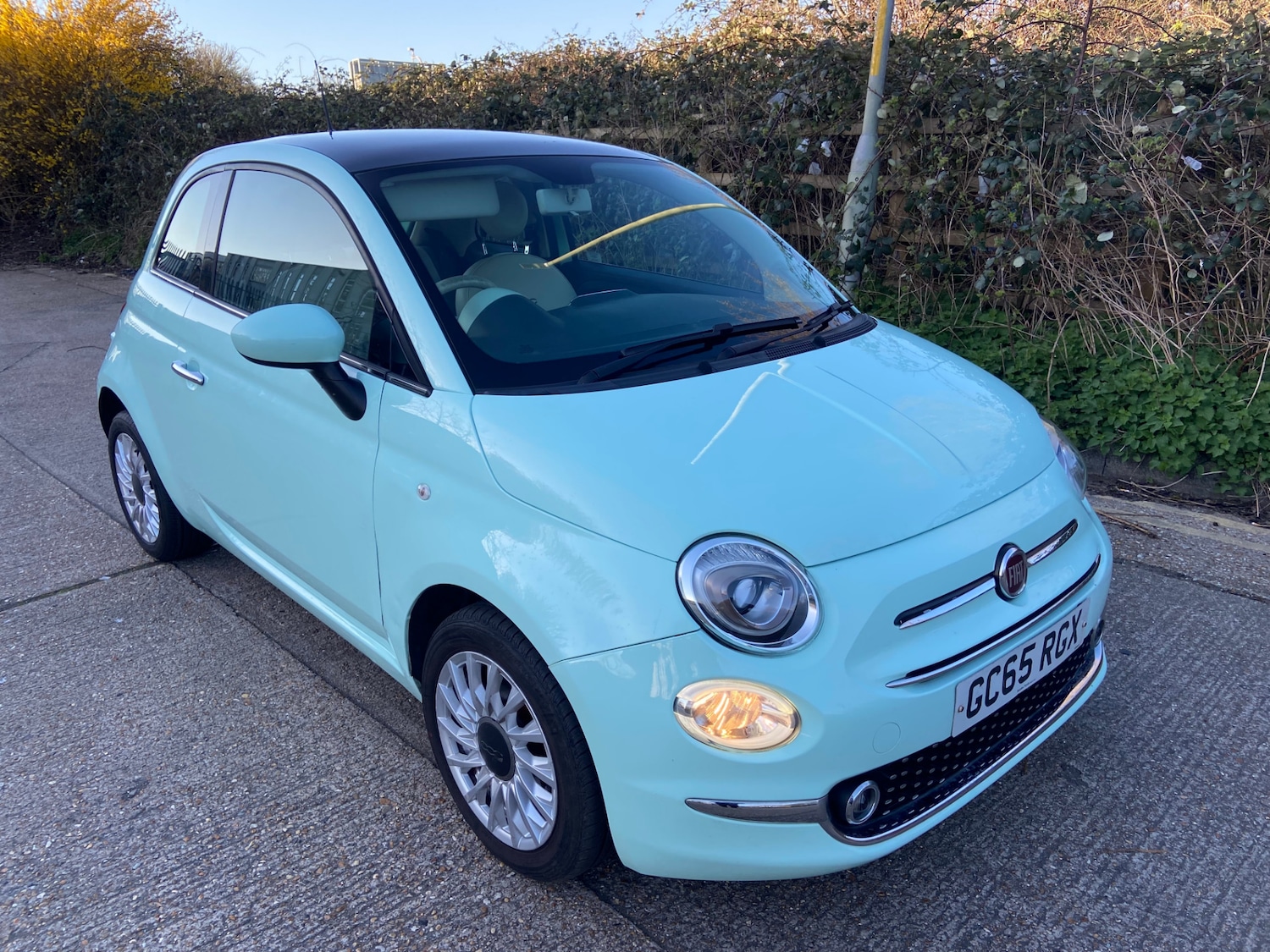 Used Fiat 500 2016 for sale - 77918311: Photo 2