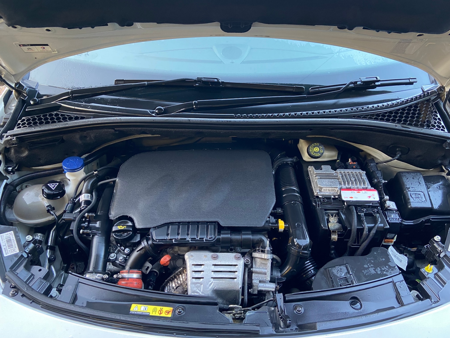 Used DS Automobiles DS 3 2016 for sale - 77668087: Photo 4