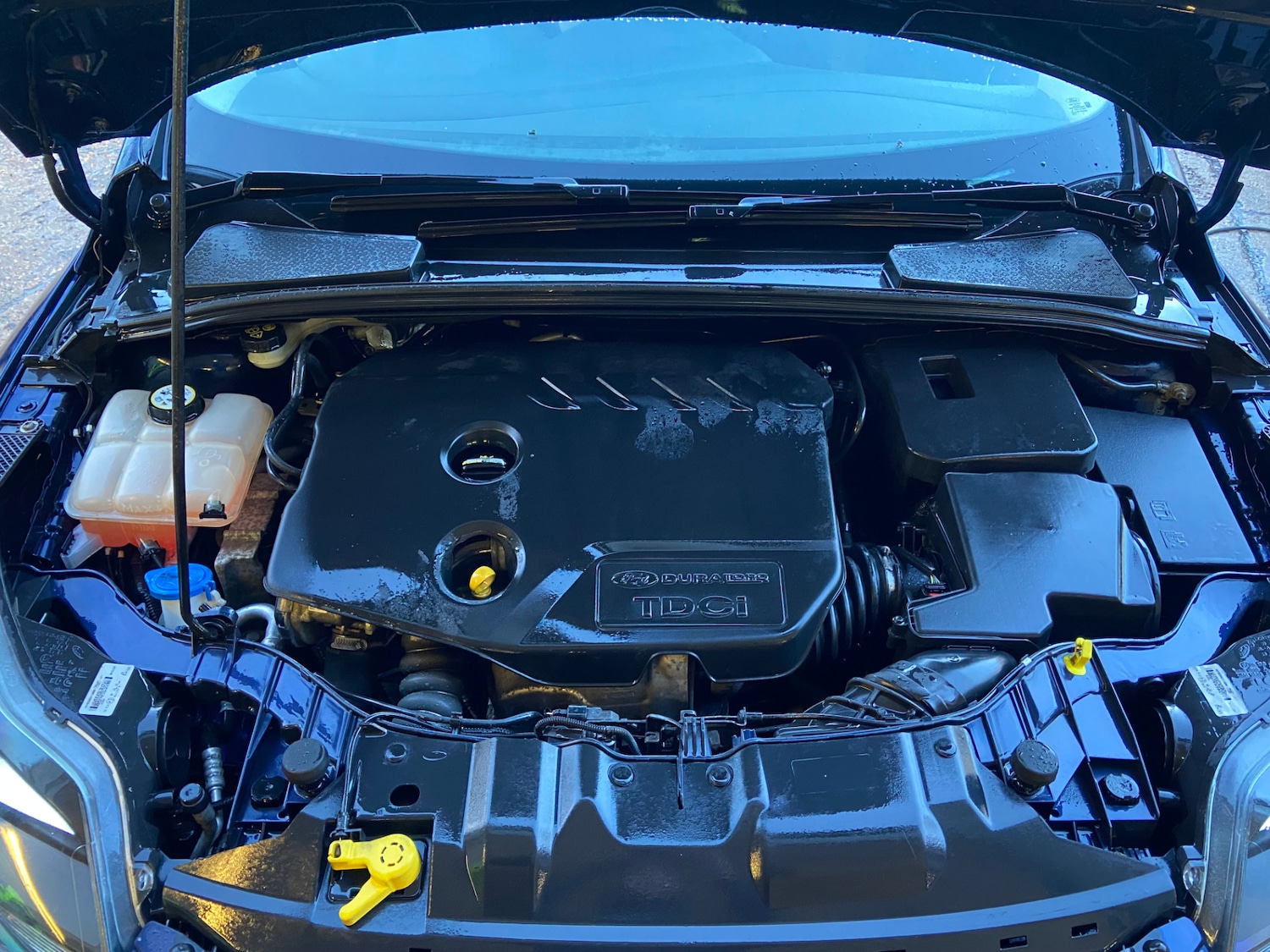 Used Ford Focus 2013 for sale - 77025647: Photo 5