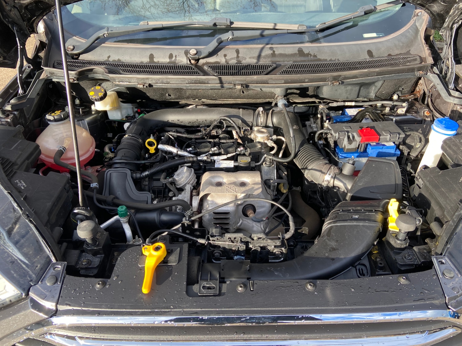 Used Ford Ecosport 2018 for sale - 77711285: Photo 13