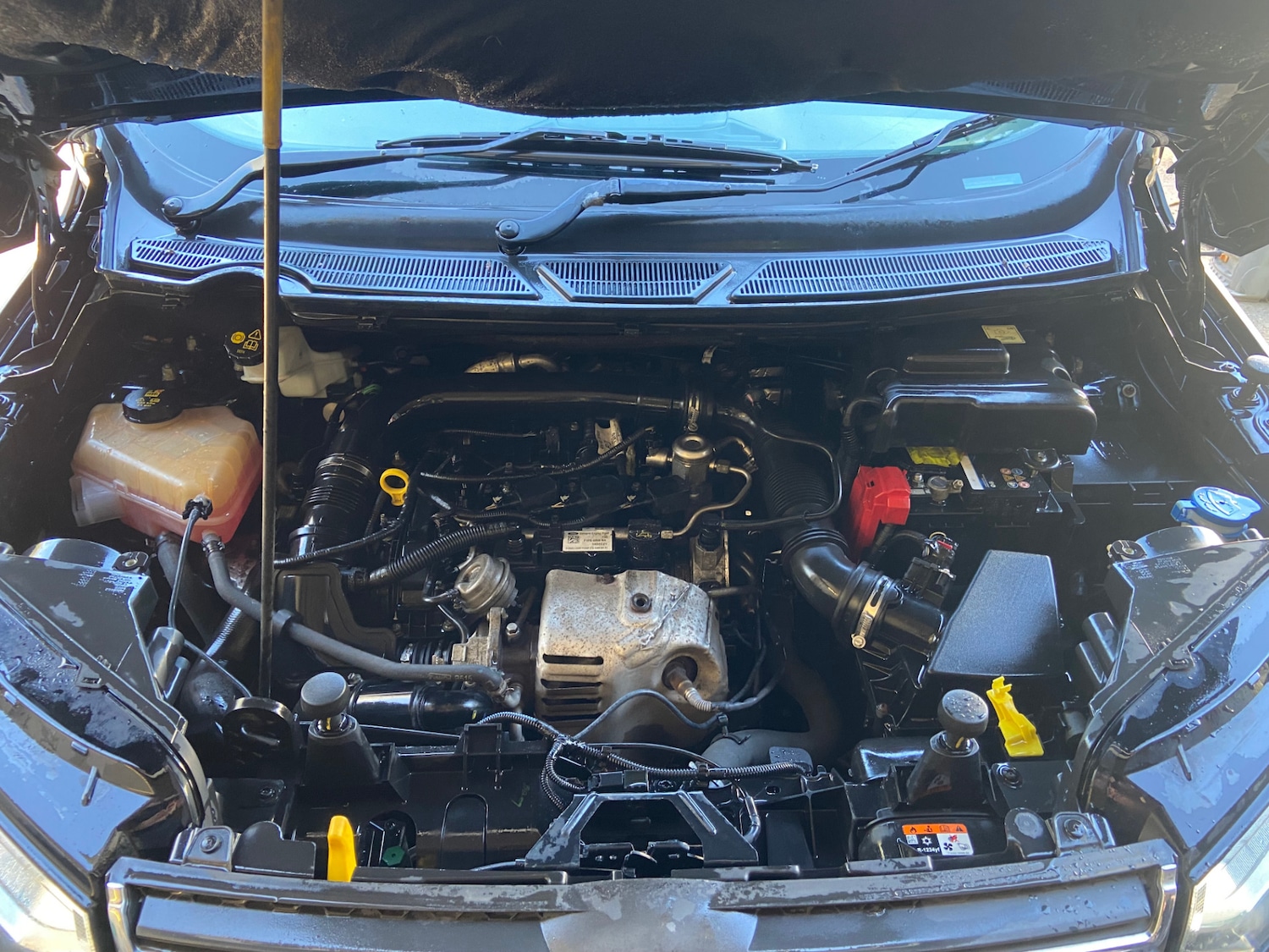 Used Ford Ecosport 2016 for sale - 78155282: Photo 4