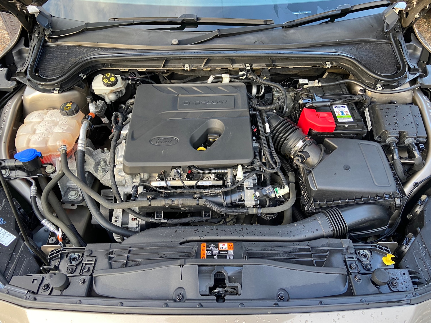 Used Ford Focus 2018 for sale - 77228072: Photo 4