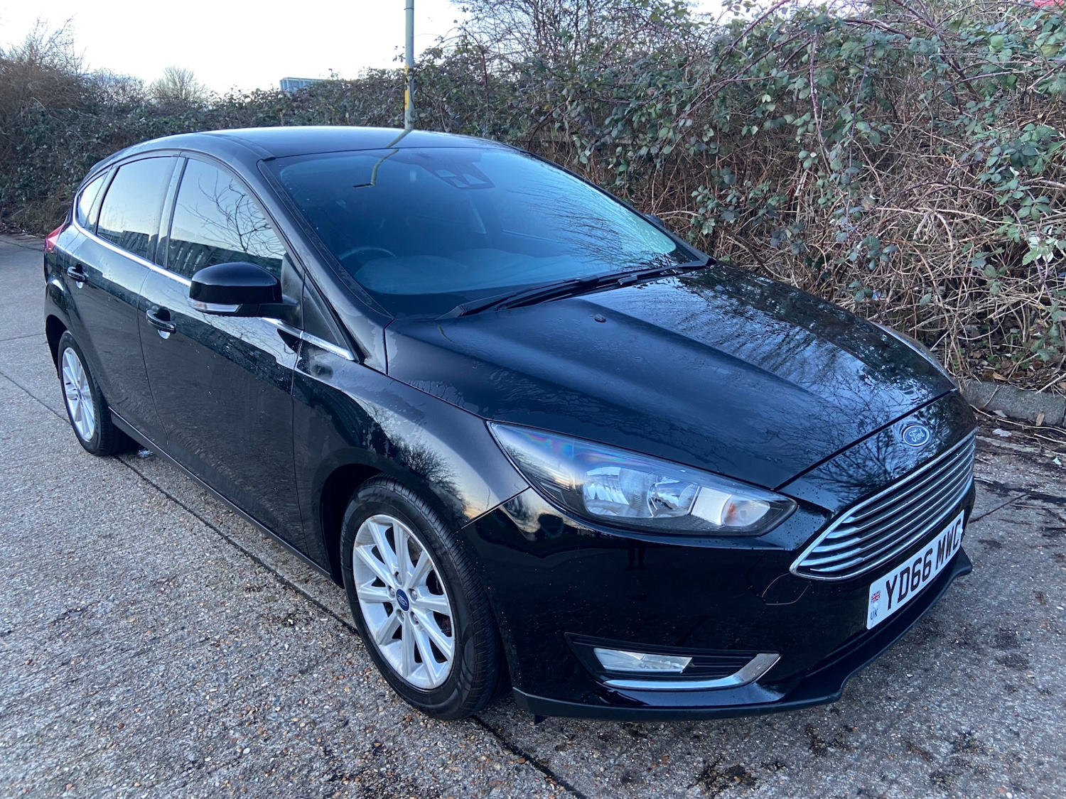 Used Ford Focus 2016 for sale - 77435647: Photo 2