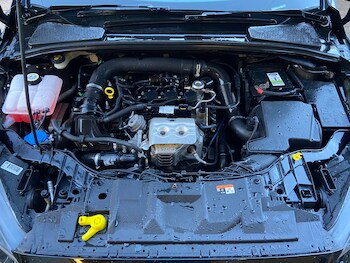 Used Ford Focus 2016 for sale - 77435647: Photo