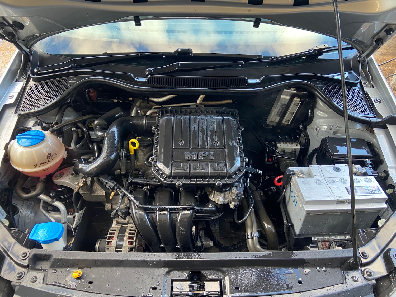 Used Volkswagen Polo 2016 for sale - 77570593: Photo 4